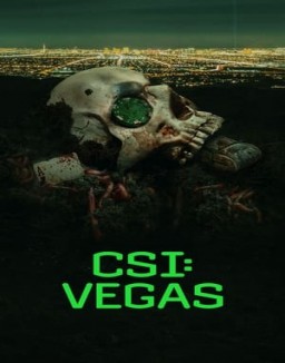 voir serie CSI: Vegas saison  1