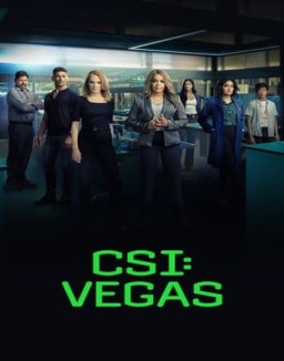 voir serie CSI: Vegas saison  2