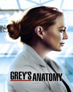 voir serie Grey's Anatomy saison  1