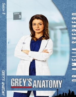 voir serie Grey's Anatomy saison  11