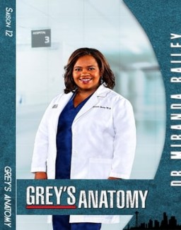 voir serie Grey's Anatomy saison  12