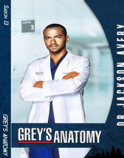 voir serie Grey's Anatomy saison  13