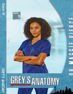voir serie Grey's Anatomy saison  14