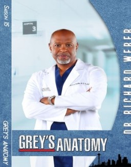 voir serie Grey's Anatomy saison  15