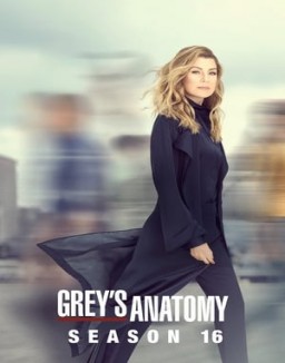 voir serie Grey's Anatomy saison  16