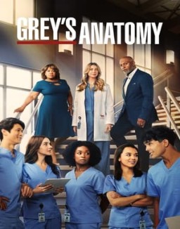 voir serie Grey's Anatomy saison  19