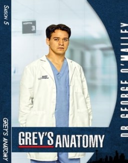 voir serie Grey's Anatomy saison  5