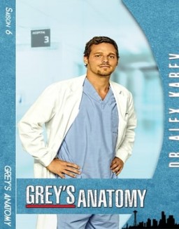 voir serie Grey's Anatomy saison  6