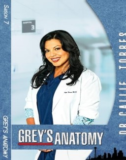 voir serie Grey's Anatomy saison  7