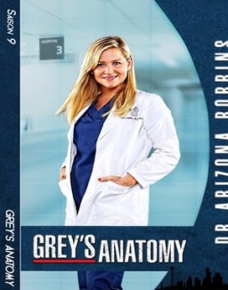 voir serie Grey's Anatomy saison  9