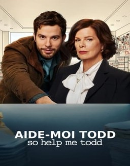 voir serie So Help Me Todd saison  1